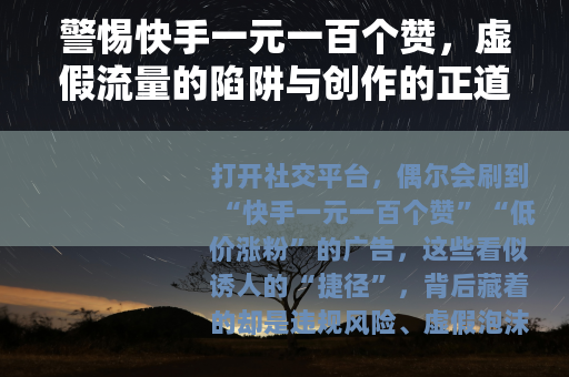 警惕快手一元一百个赞，虚假流量的陷阱与创作的正道