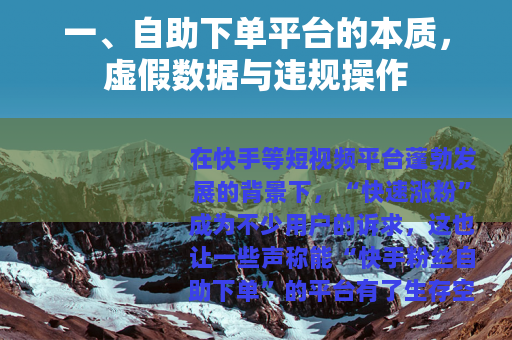 一、自助下单平台的本质，虚假数据与违规操作