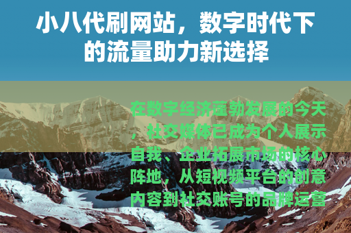 小八代刷网站，数字时代下的流量助力新选择