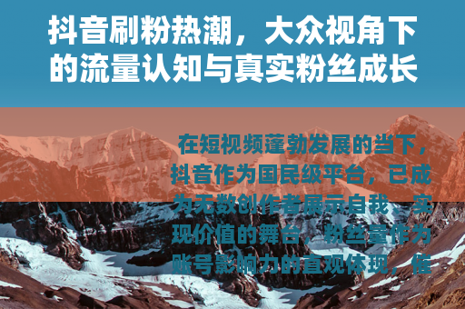 抖音刷粉热潮，大众视角下的流量认知与真实粉丝成长路径