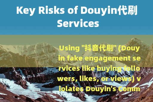 Key Risks of Douyin代刷 Services
