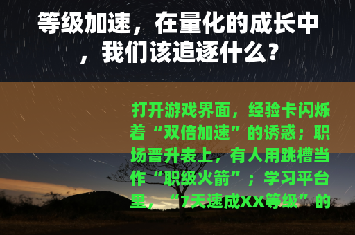 等级加速，在量化的成长中，我们该追逐什么？