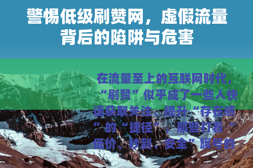 警惕低级刷赞网，虚假流量背后的陷阱与危害