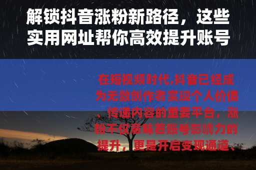 解锁抖音涨粉新路径，这些实用网址帮你高效提升账号影响力