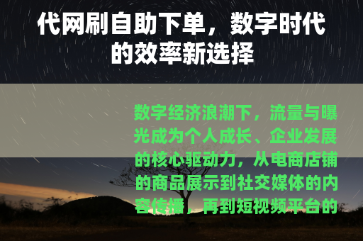 代网刷自助下单，数字时代的效率新选择