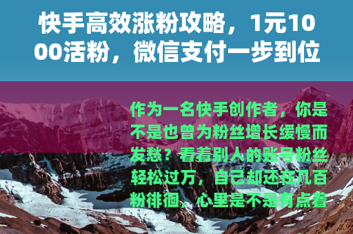 快手高效涨粉攻略，1元1000活粉，微信支付一步到位