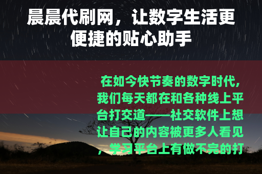 晨晨代刷网，让数字生活更便捷的贴心助手