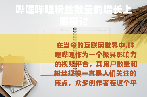 哔哩哔哩粉丝数量的增长上限探讨