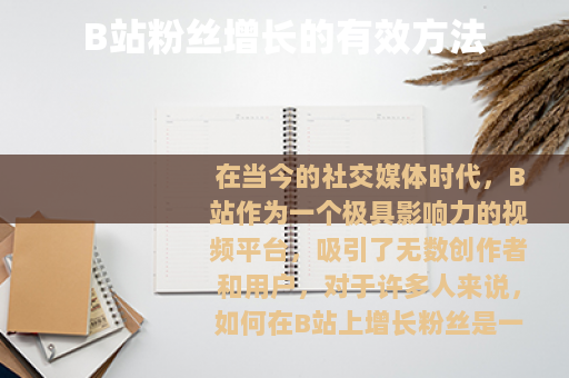 B站粉丝增长的有效方法