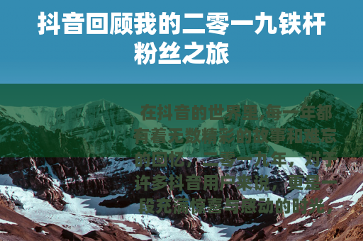 抖音回顾我的二零一九铁杆粉丝之旅