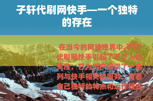 子轩代刷网快手—一个独特的存在