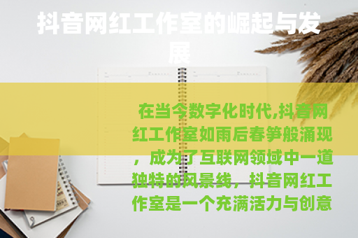 抖音网红工作室的崛起与发展