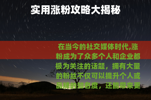 实用涨粉攻略大揭秘