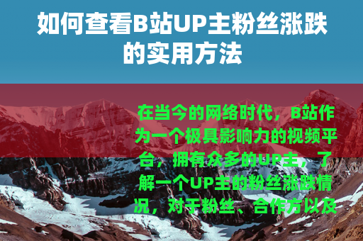 如何查看B站UP主粉丝涨跌的实用方法