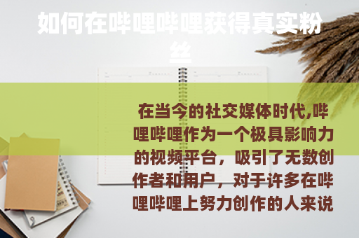 如何在哔哩哔哩获得真实粉丝