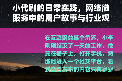 小代刷的日常实践，网络微服务中的用户故事与行业观察