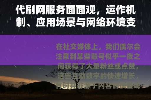 代刷网服务面面观，运作机制、应用场景与网络环境变迁