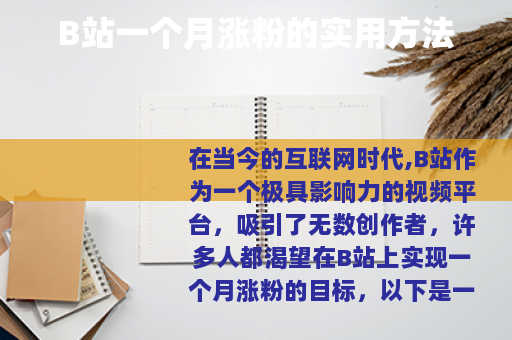 B站一个月涨粉的实用方法