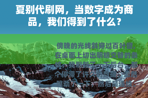 夏别代刷网，当数字成为商品，我们得到了什么？