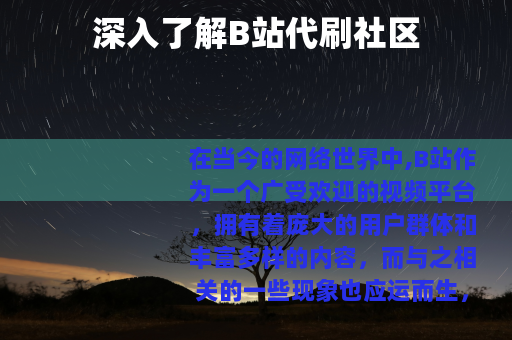 深入了解B站代刷社区