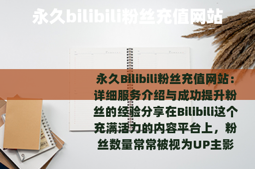 永久bilibili粉丝充值网站