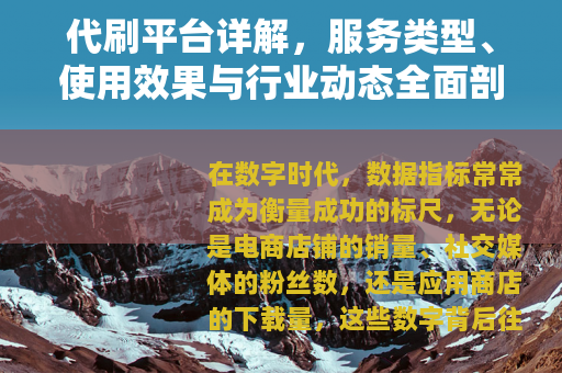 代刷平台详解，服务类型、使用效果与行业动态全面剖析
