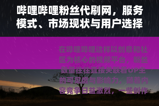 哔哩哔哩粉丝代刷网，服务模式、市场现状与用户选择考量