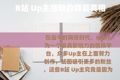 B站 Up主涨粉的背后真相