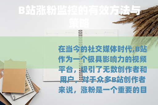 B站涨粉监控的有效方法与策略