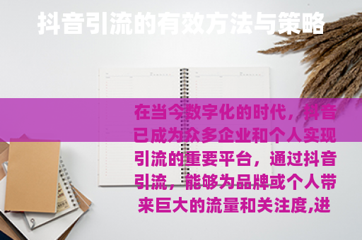 抖音引流的有效方法与策略