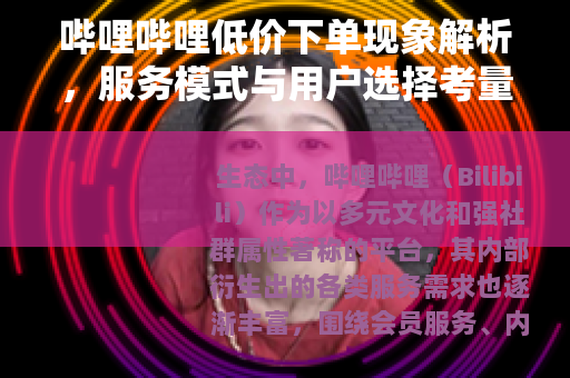 哔哩哔哩低价下单现象解析，服务模式与用户选择考量