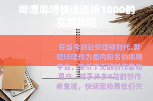 哔哩哔哩快速涨粉1000的实用攻略