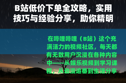 B站低价下单全攻略，实用技巧与经验分享，助你精明消费省更多