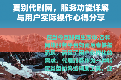 夏别代刷网，服务功能详解与用户实际操作心得分享