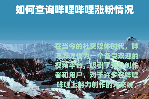 如何查询哔哩哔哩涨粉情况