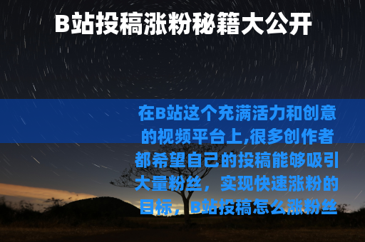 B站投稿涨粉秘籍大公开