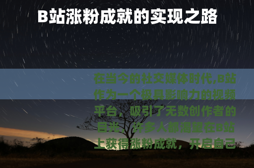 B站涨粉成就的实现之路