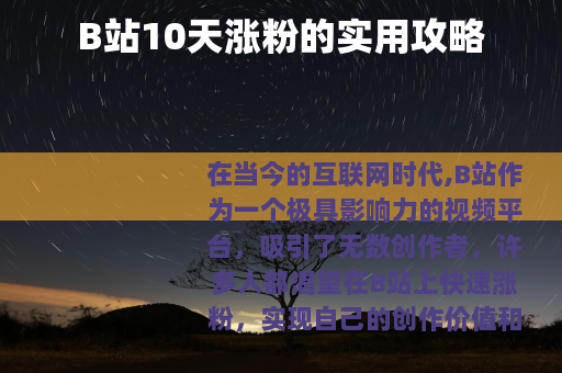 B站10天涨粉的实用攻略