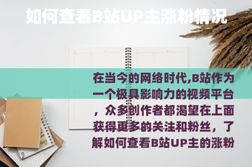 如何查看B站UP主涨粉情况