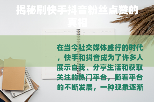 揭秘刷快手抖音粉丝点赞的真相