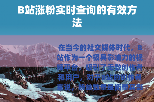 B站涨粉实时查询的有效方法