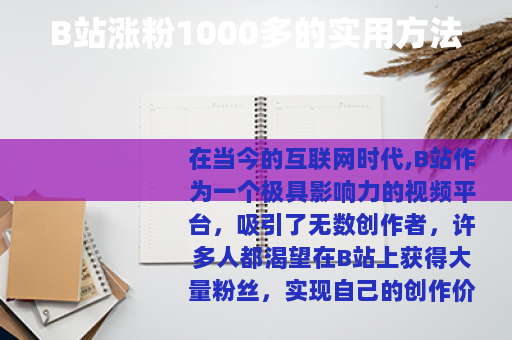 B站涨粉1000多的实用方法