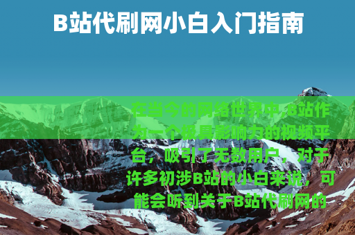 B站代刷网小白入门指南