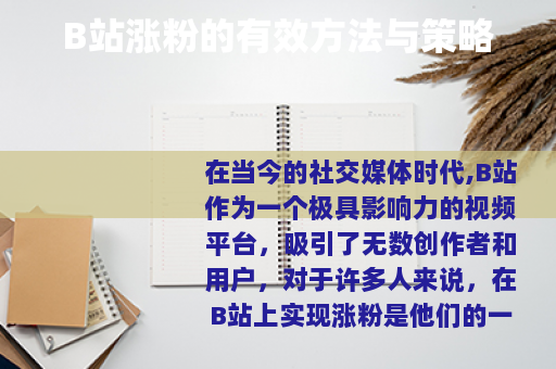 B站涨粉的有效方法与策略