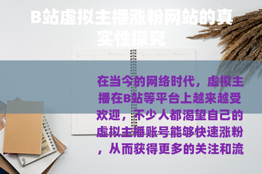 B站虚拟主播涨粉网站的真实性探究