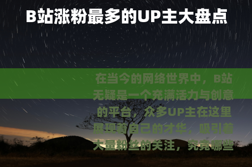 B站涨粉最多的UP主大盘点