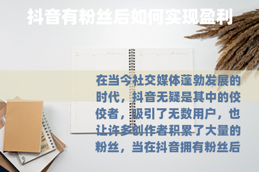 抖音有粉丝后如何实现盈利