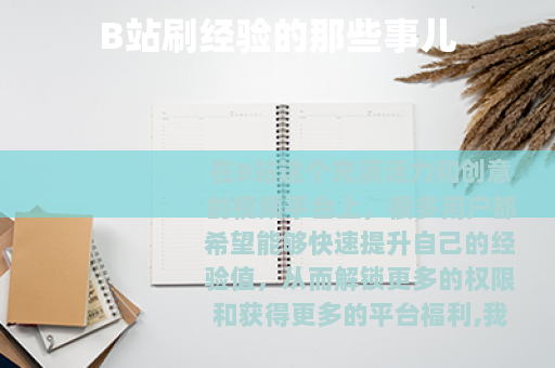 B站刷经验的那些事儿