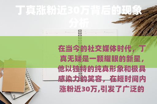 丁真涨粉近30万背后的现象分析