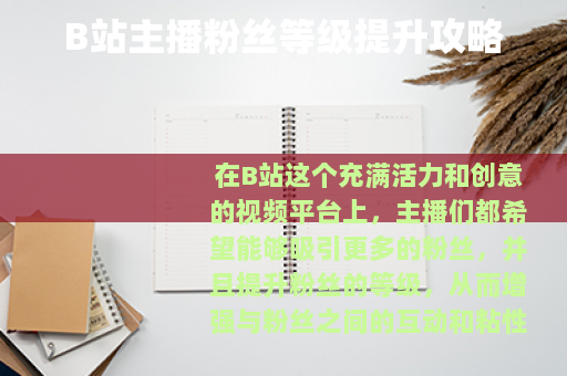 B站主播粉丝等级提升攻略